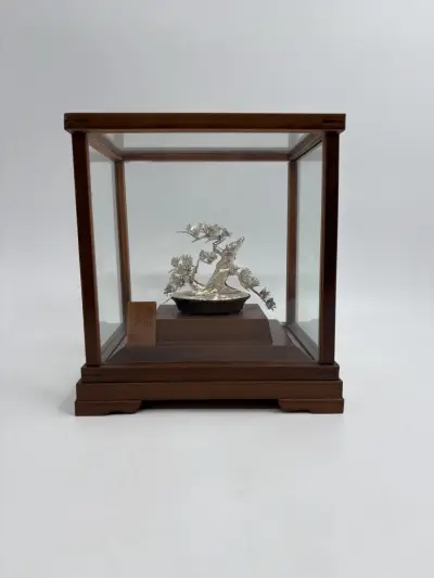 Massief zilveren Bonsai-miniatuur 'Matsu' in vitrine – Seki Takehiko – kavel bij De Kringwinkel, Gent