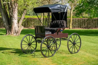 Doctor’s Buggy /Physician's Phaeton – kavel bij Auctim