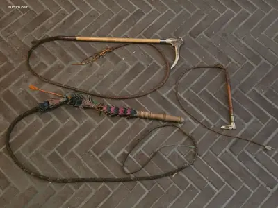 3 Diverse zwepen – kavel bij Auctim