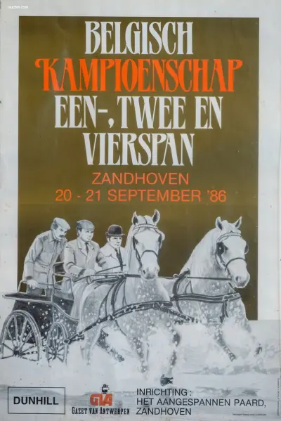 Verzameling van 8 hippische affiches en – kavel bij Auctim