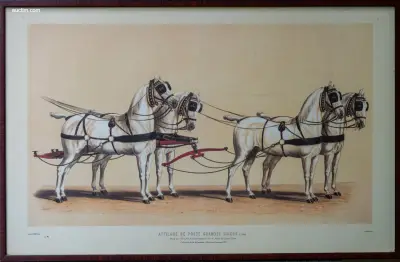 Drie antieke Franse kleurenlithografieën van – kavel bij Auctim