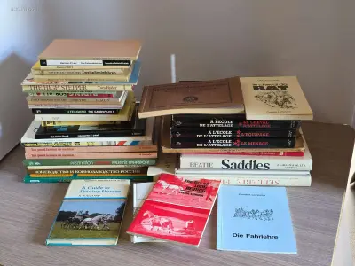 Algemene boeken over mennen (42x) – kavel bij Auctim