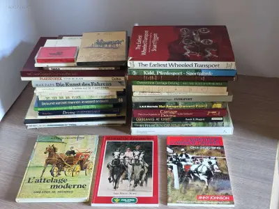 Algemene boeken over mennen (31x) – kavel bij Auctim