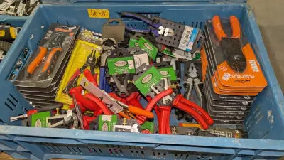 Een set diverse tangen – kavel bij Auctionline, Anderlecht