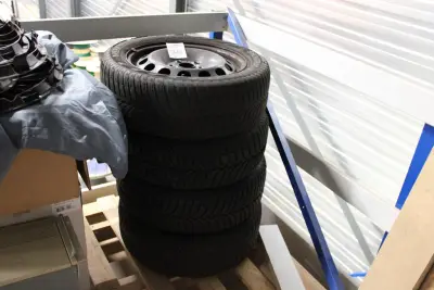 Vier winterbanden op velg VREDESTEIN 205/55 R16 91H – kavel bij HNVI, 's-Hertogenbosch
