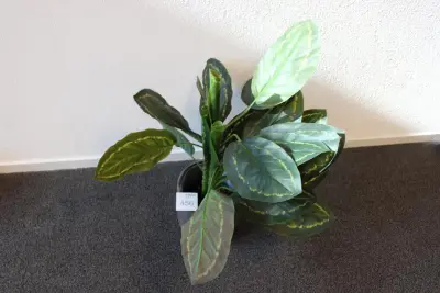Kunstplant in pot, hoogte 80 cm – kavel bij HNVI, 's-Hertogenbosch