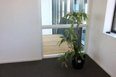 Plant in pot. Hoogte pot 32 cm – kavel bij HNVI, 's-Hertogenbosch