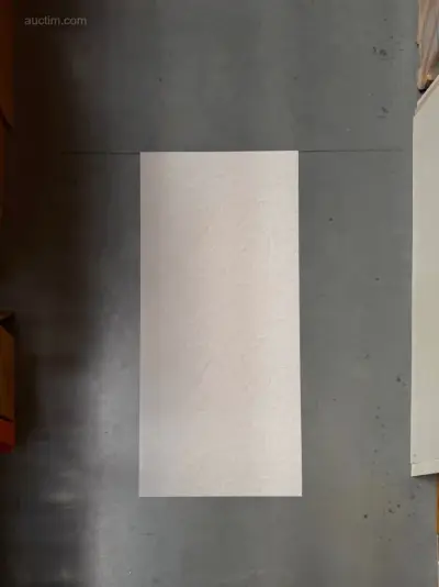19.02 (6x) pvc wandpanelen – kavel bij Auctim, Lier