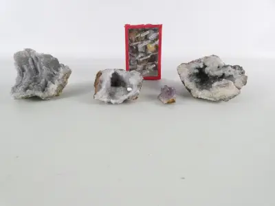 Prachtige Gevarieerde Mineralen- en Geodencollectie met Educatieve Mineraalset – 5-delig ensemble (Totaalgewicht ca. 3 kg) – kavel bij De Kringwinkel, Heverlee