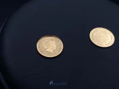 2 geelgouden muntjes – 22 karaat – 1 gram – kavel bij VH Auctions