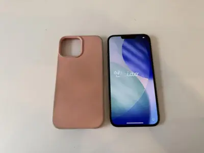 Iphone 13 Pro Max 256 GB groen – kavel bij HNVI, Loon op Zand