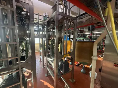 1996 Schenck Multifeed Sorting and weighing system – kavel bij Dome Auctions, Neuss
