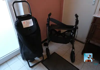 Looprek + boodschappentrolley – kavel bij Clicpublic