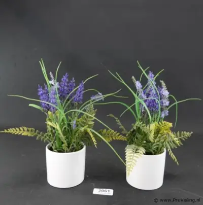 Paar plantjes in keramieken potten – kavel bij ProVeiling