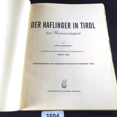 De haflinger in Tirol – kavel bij ProVeiling