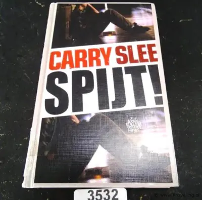 Carry Slee. Spijt – kavel bij ProVeiling