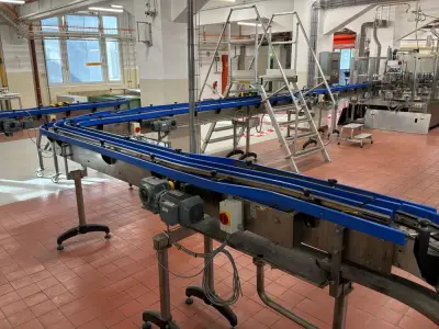 2016 Niko Conveyor – kavel bij Dome Auctions, Neuss