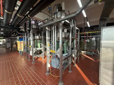 1996 Schenck Multifeed Sorting and weighing system – kavel bij Dome Auctions, Neuss