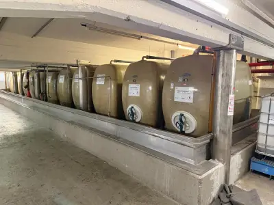 Theodor Vanck Storage tank 4.000L (12x) – kavel bij Dome Auctions, Neuss