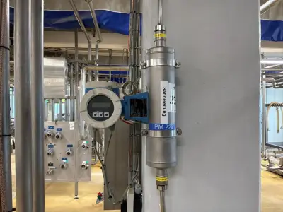 Endress + Hauser PROMAG 80 flow meter – kavel bij Dome Auctions, Neuss