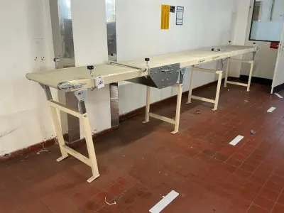 Langhammer Belt conveyor – kavel bij Dome Auctions, Neuss