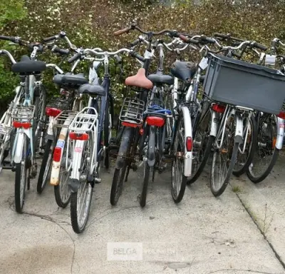 Partij diverse fietsen – kavel bij Belga Veilingen