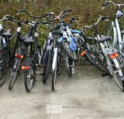 Partij diverse fietsen – kavel bij Belga Veilingen
