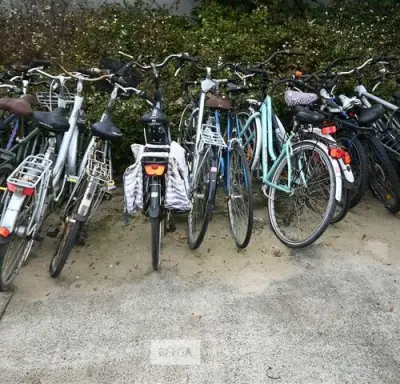 Partij diverse fietsen – kavel bij Belga Veilingen