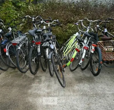 Partij diverse fietsen – kavel bij Belga Veilingen