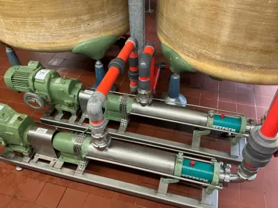 Netzsch Progressive cavity pump – kavel bij Dome Auctions, Neuss