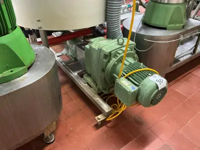Netzch Progressive cavity pump – kavel bij Dome Auctions, Neuss