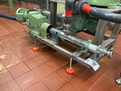Netzsch Progressive cavity pump – kavel bij Dome Auctions, Neuss
