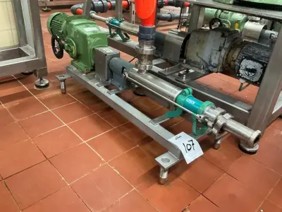 Netzsch Progressive cavity pump – kavel bij Dome Auctions, Neuss