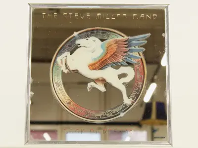 Steve Miller “Book of Dreams” spiegel – kavel bij De Kringwinkel, Antwerpen