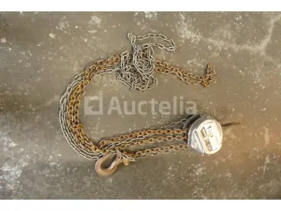 Ingersoll-Rand SM010 1T Handmatige Kettingtakel – kavel bij Auctelia, Tintigny