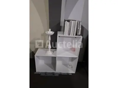 Opslagkast met inhoud – kavel bij Auctelia, Mont-de-l'Enclus