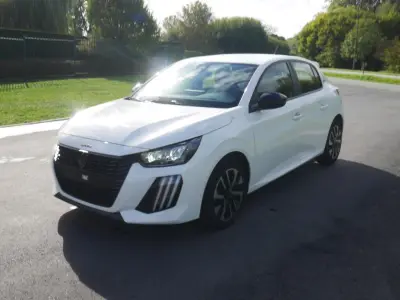Peugeot 208, 1199 cm³, hybride (benzine/elektrisch) – kavel bij Trans Executive