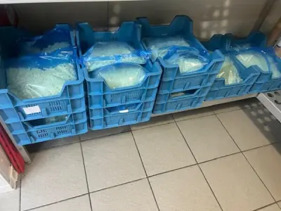 Kaas Mozzarella voor pizza, lange houdbaarheidsdata! – kavel bij Venalis, Kortrijk