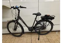 Trenergy Porto elektrische fiets – kavel bij Desvo Veilingen, Brugge Elektrische Fietsen - Demo En Ex