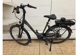 Trenergy Porto elektrische fiets – kavel bij Desvo Veilingen, Brugge Elektrische Fietsen - Demo En Ex