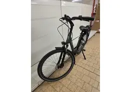 Trenergy Porto elektrische fiets – kavel bij Desvo Veilingen, Brugge Elektrische Fietsen - Demo En Ex