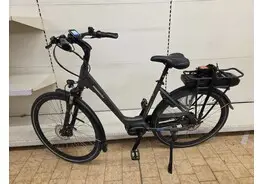 Trenergy Porto elektrische fiets – kavel bij Desvo Veilingen, Brugge Elektrische Fietsen - Demo En Ex