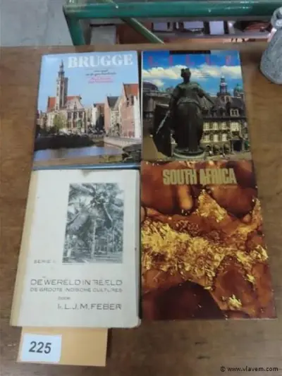 Boeken 4 stuks – kavel bij Vlavem