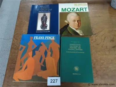 Boeken 4 stuks – kavel bij Vlavem