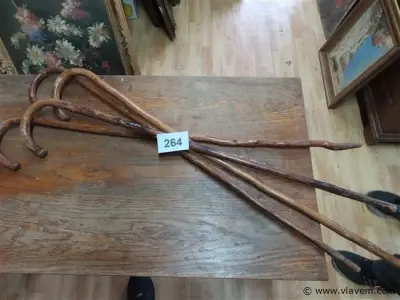 Wandelstokken 4 stuks – kavel bij Vlavem