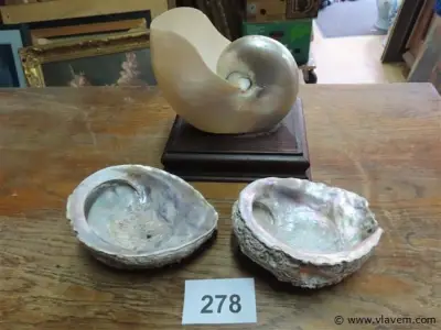 Schelpen – kavel bij Vlavem
