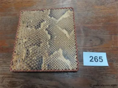 Antiek album in slangenleer, alles gefotografeerd – kavel bij Vlavem