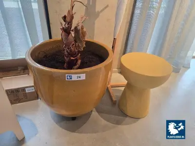 1 x Grote bloempot met bijzettafel, kapstok en dispenser – kavel bij Plaats Je Bod, Amsterdam