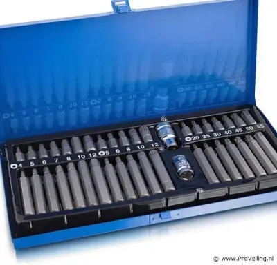 Torx gereedschapsset 41-delig – kavel bij ProVeiling