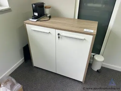 Twee deurs kast, afmetingen 95 x 85 cm, inclusief sleutel – kavel bij Appelboom